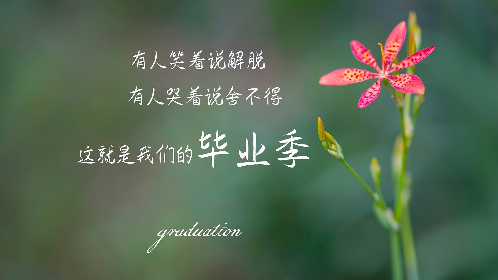 爱游戏娱乐网址-【罚分争议】比赛中最具争议的判罚时刻回顾，比赛罚款