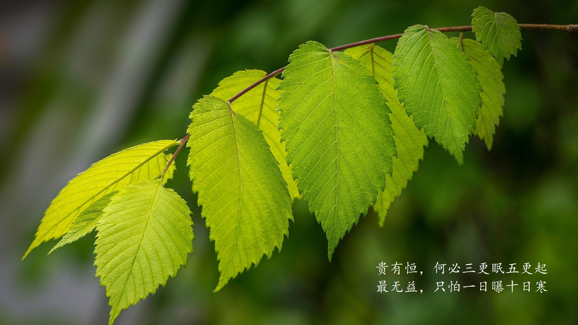 BLG开展电竞选手职业精神教育，职业电竞选手培训