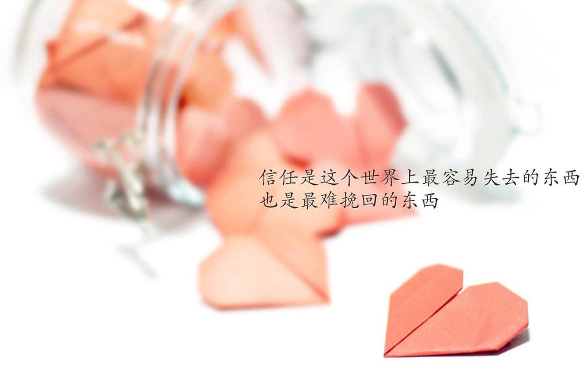 北马其顿队挤入欧洲杯正赛，实力谋求突围，北马其顿进欧洲杯