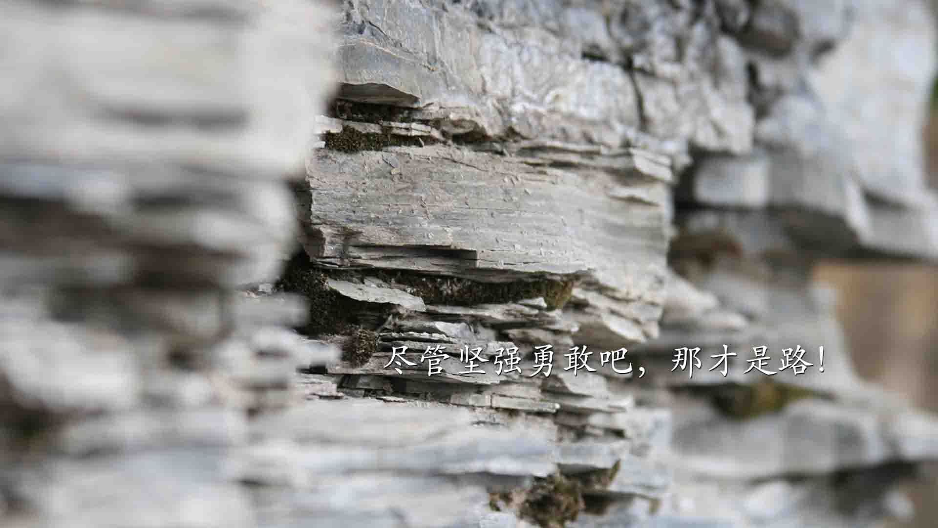 中国女篮优化投篮选择提升命中率,中国投篮最准的女孩