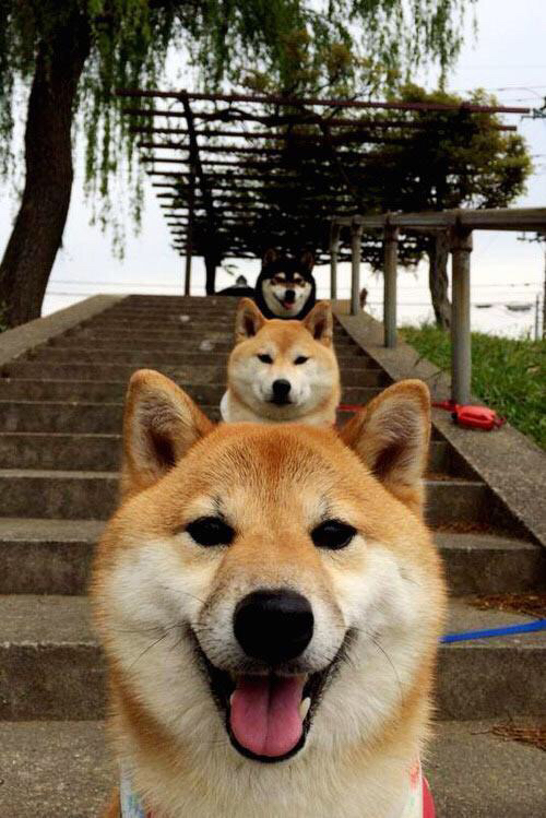 国际足球界推动裁判全程直播问询，确保判罚透明，2021足球国际级裁判