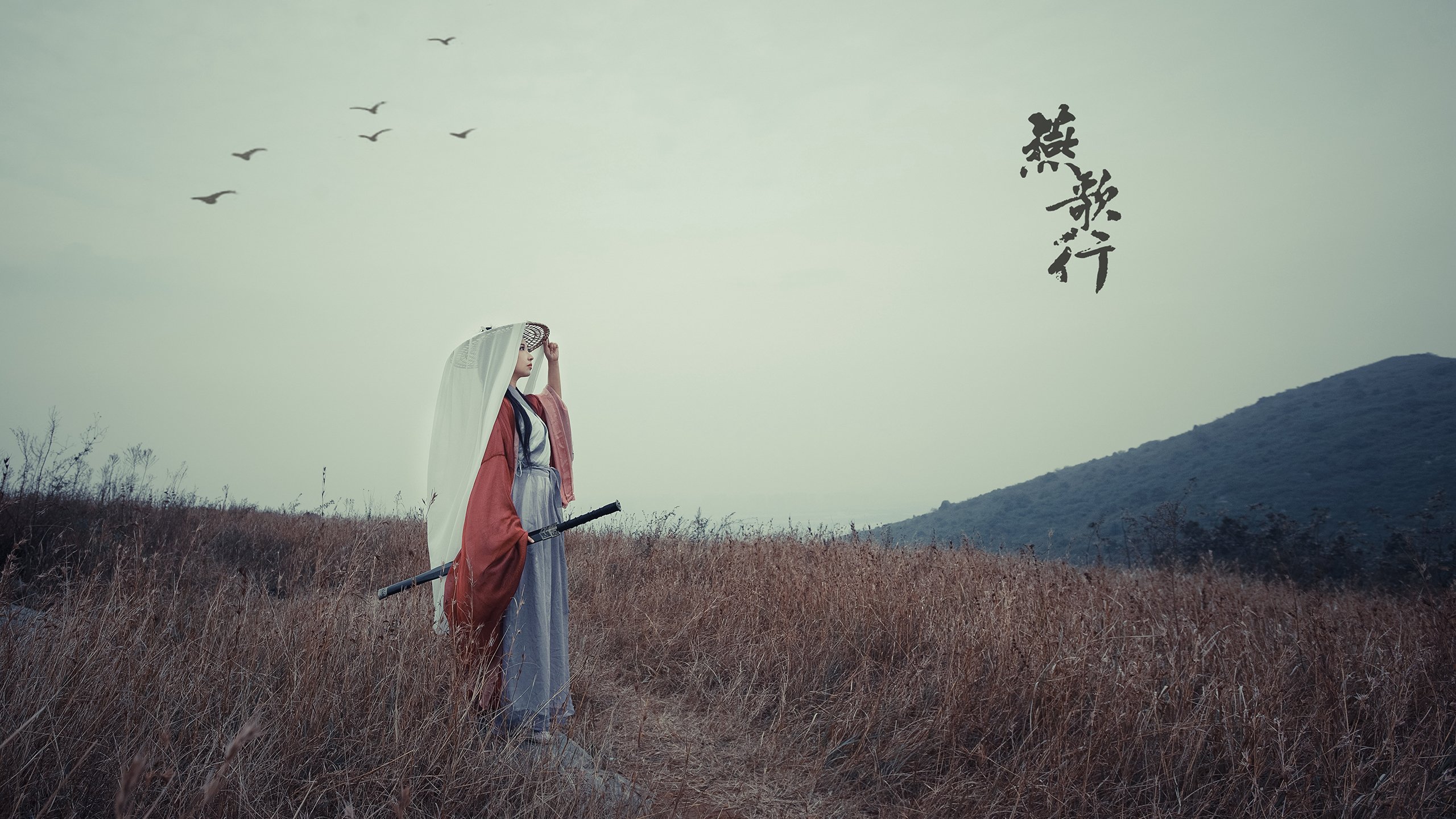 德甲攻防体验:速度与力量大比拼!,德甲跑动距离排名